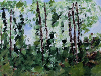 Morning Light #2