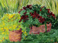 Secret Garden